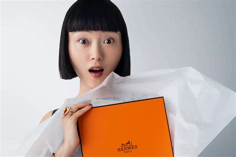 hermes sees silk big ad